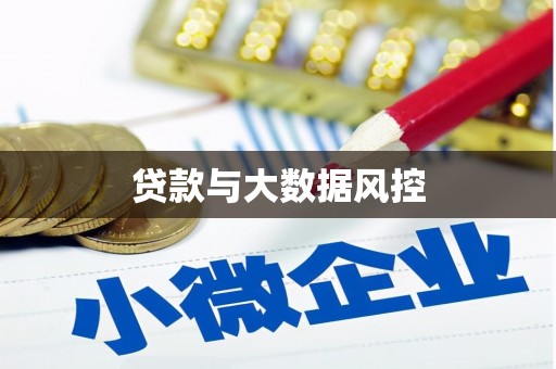 金寨贷款与大数据风控