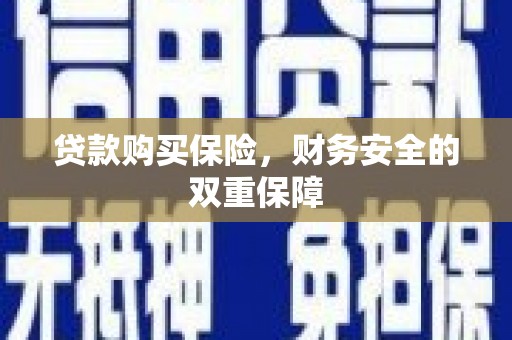 玄武贷款购买保险，财务安全的双重保障