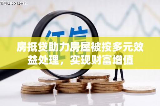 卫滨房抵贷助力房屋被按多元效益处理，实现财富增值