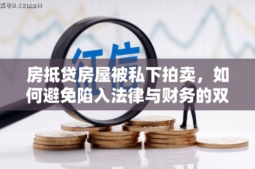 龙南房抵贷房屋被私下拍卖，如何避免陷入法律与财务的双重困境？