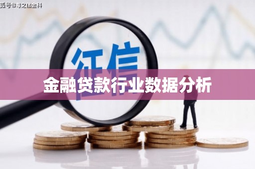 顺平金融贷款行业数据分析