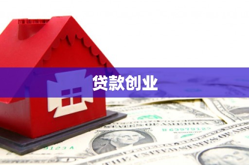 洞口贷款创业