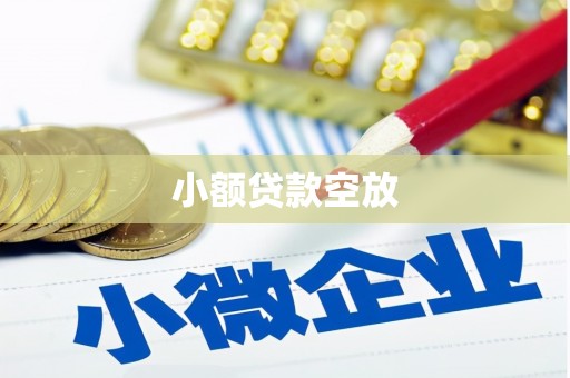 枞阳小额贷款空放
